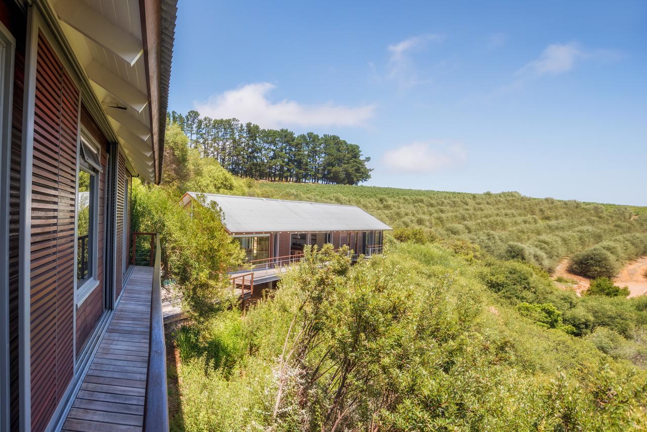 Bush Lodge At Hidden Valley Wines Stellenbosch Exterior foto